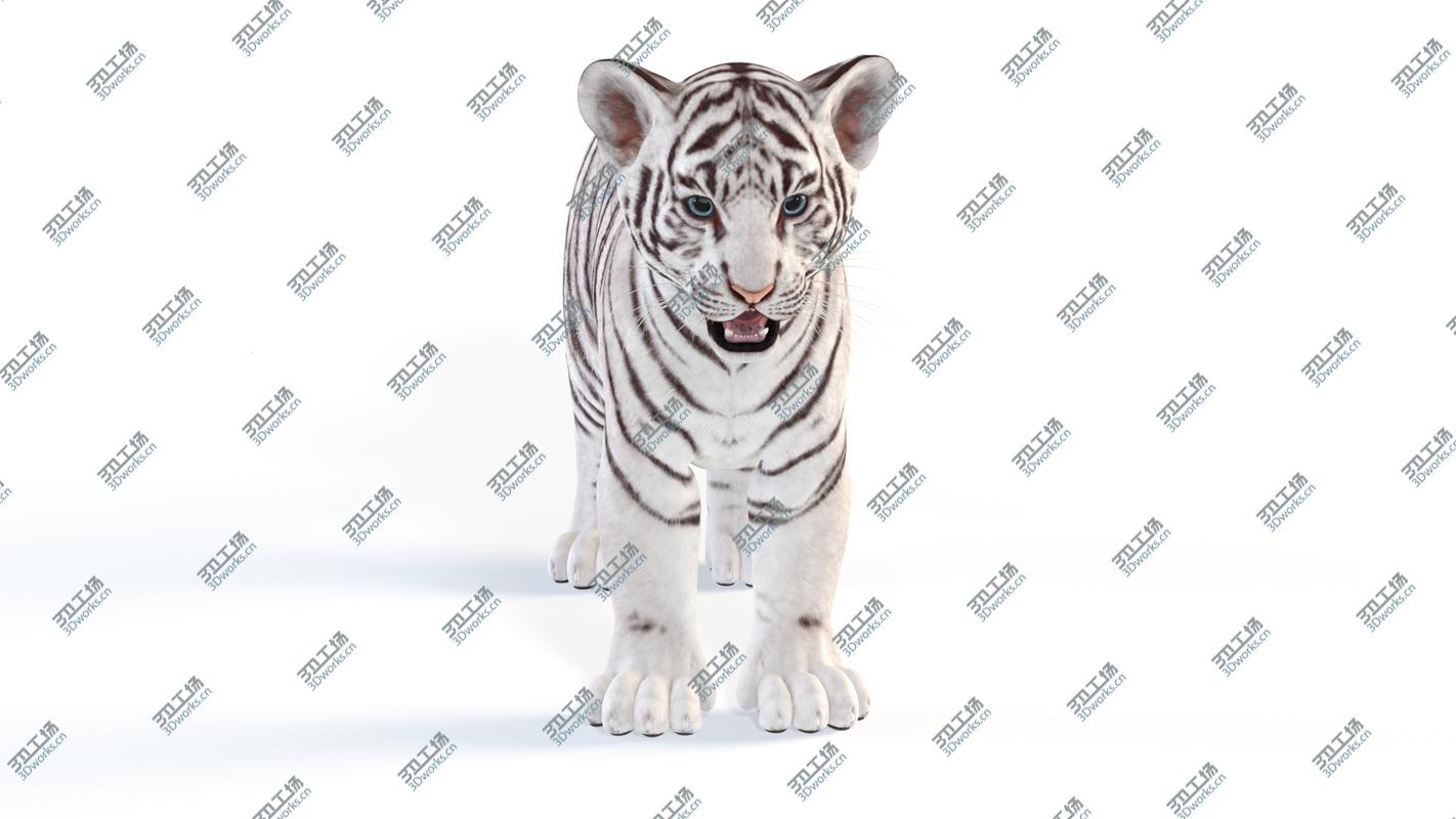 images/goods_img/20210319/White Baby Tiger 3D model/4.jpg
